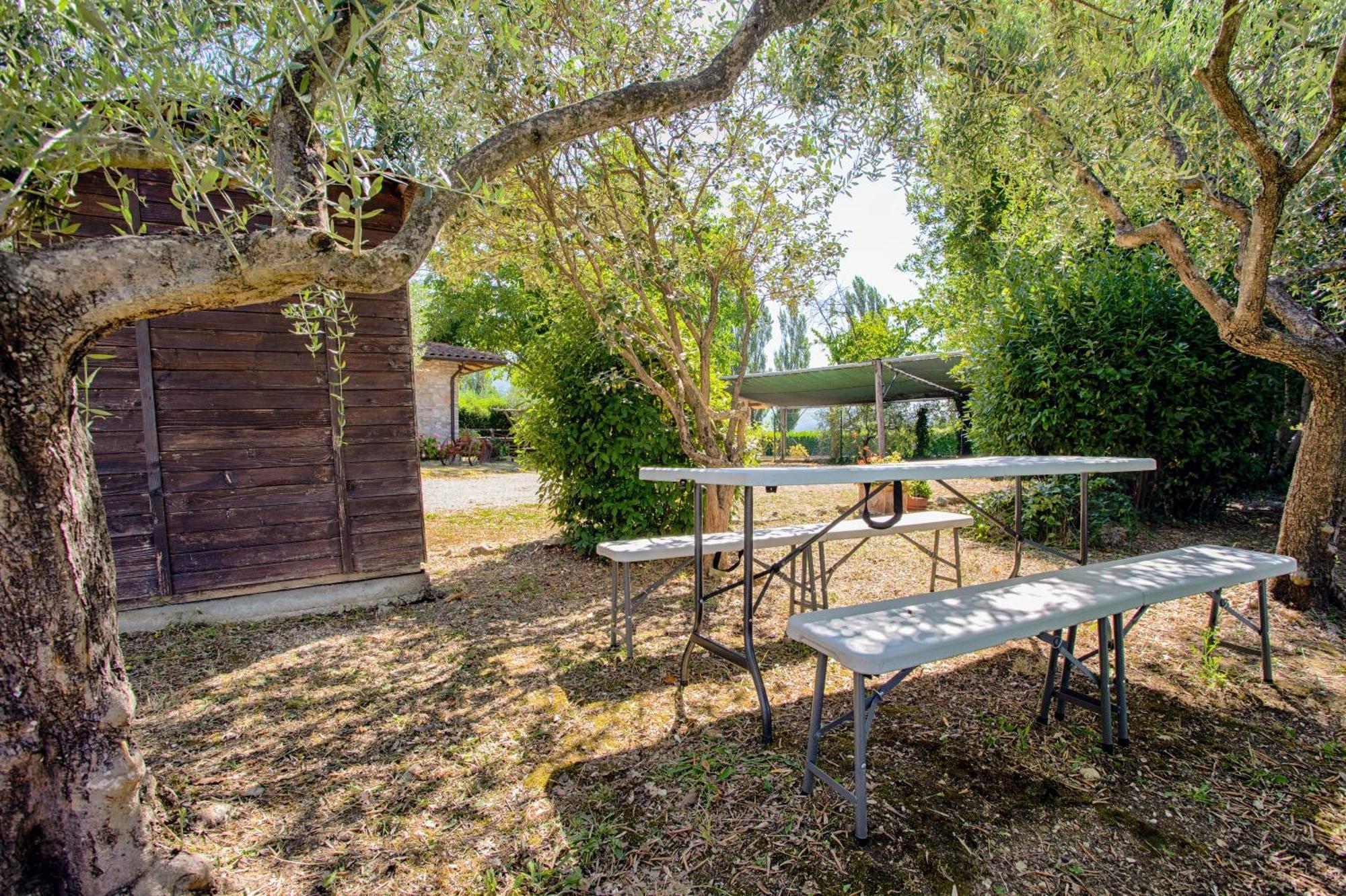 Agriturismo La Mora อัสซิซี ภายนอก รูปภาพ